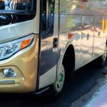 white and brown bus
